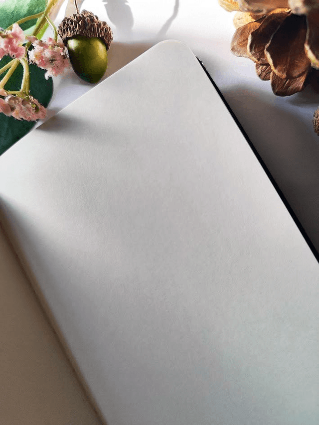 Crow and Mushroom Adventurers A6 Plain Notebook